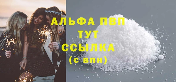 индика Алексин