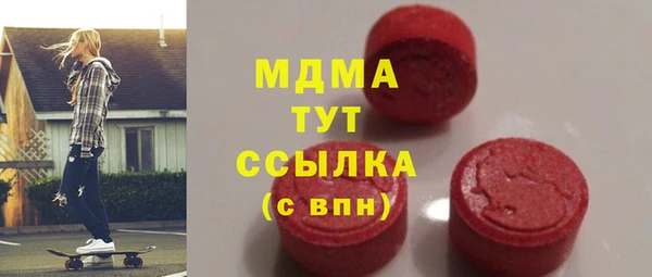 индика Алексин