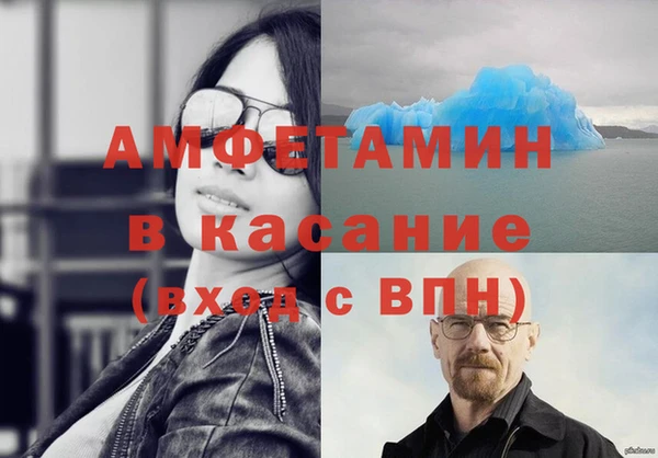 индика Алексин