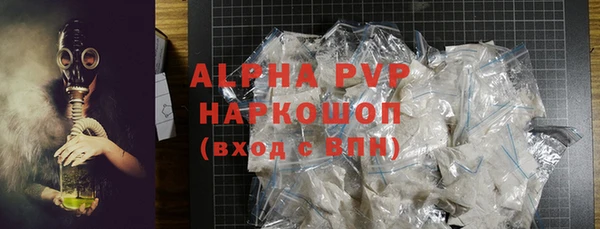 индика Алексин